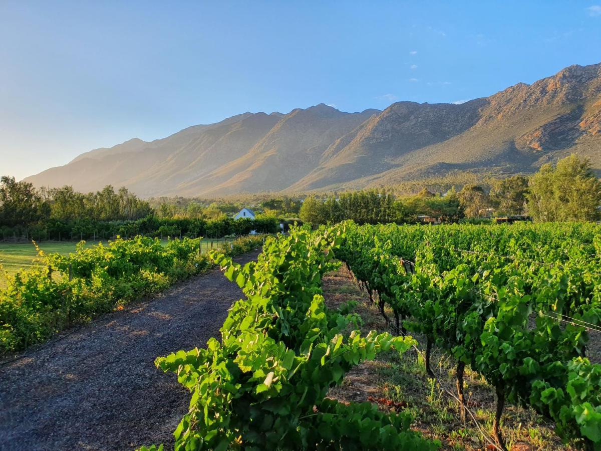 Klein Nektar Wine & Olive Estate Hotel Montagu Buitenkant foto