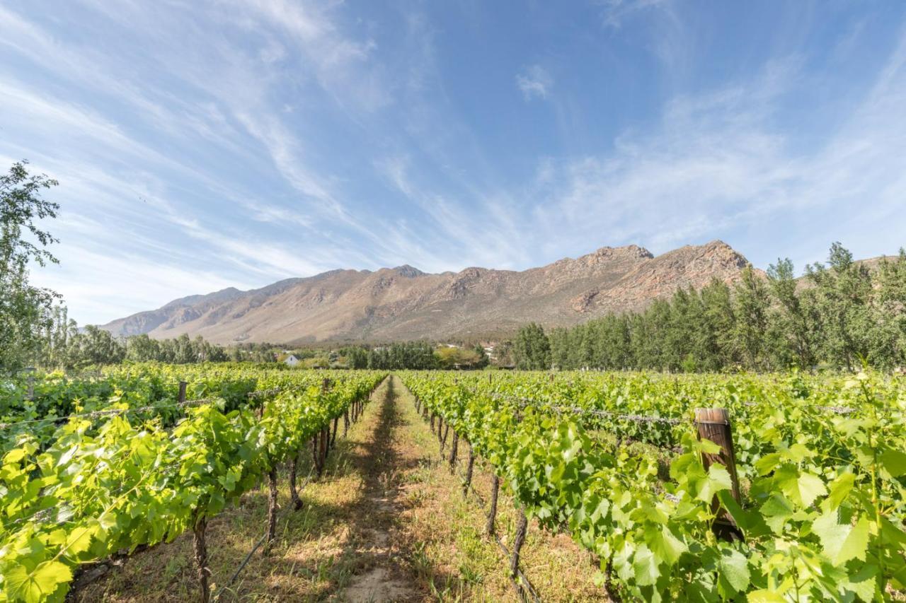 Klein Nektar Wine & Olive Estate Hotel Montagu Buitenkant foto