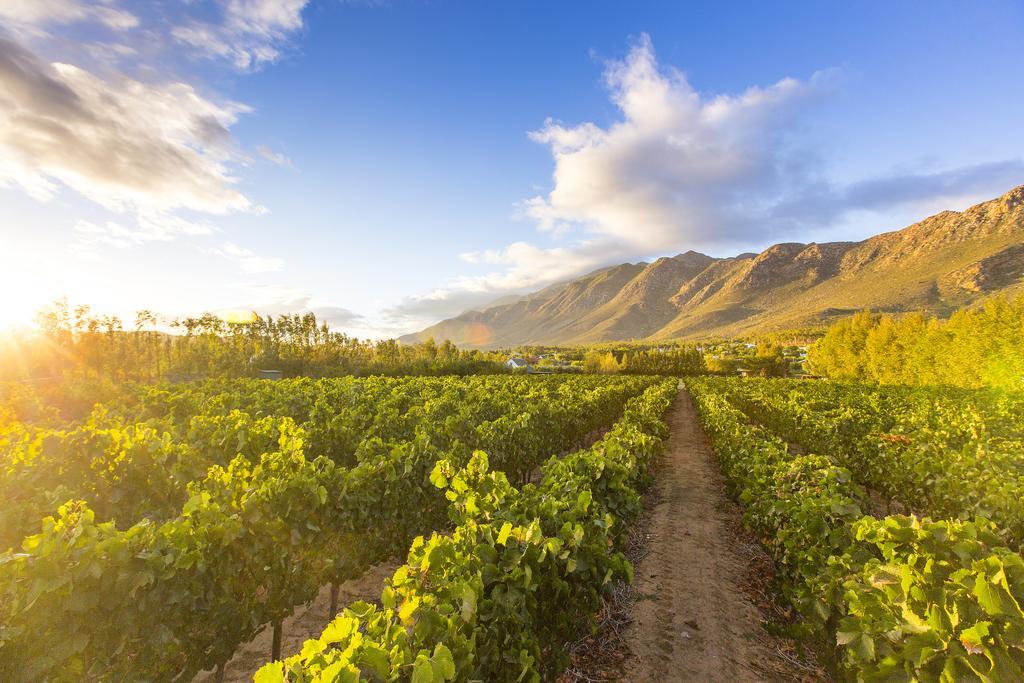 Klein Nektar Wine & Olive Estate Hotel Montagu Buitenkant foto